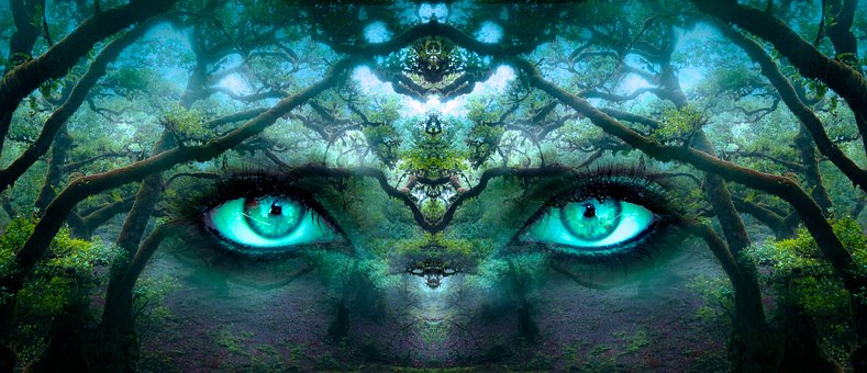 Eine Bildkombination mit Bäumen und einem weiblichen Gesicht in Grün und Türkis. Sinnbildlich für die Herrin des Waldes oder Mutter Gaia.