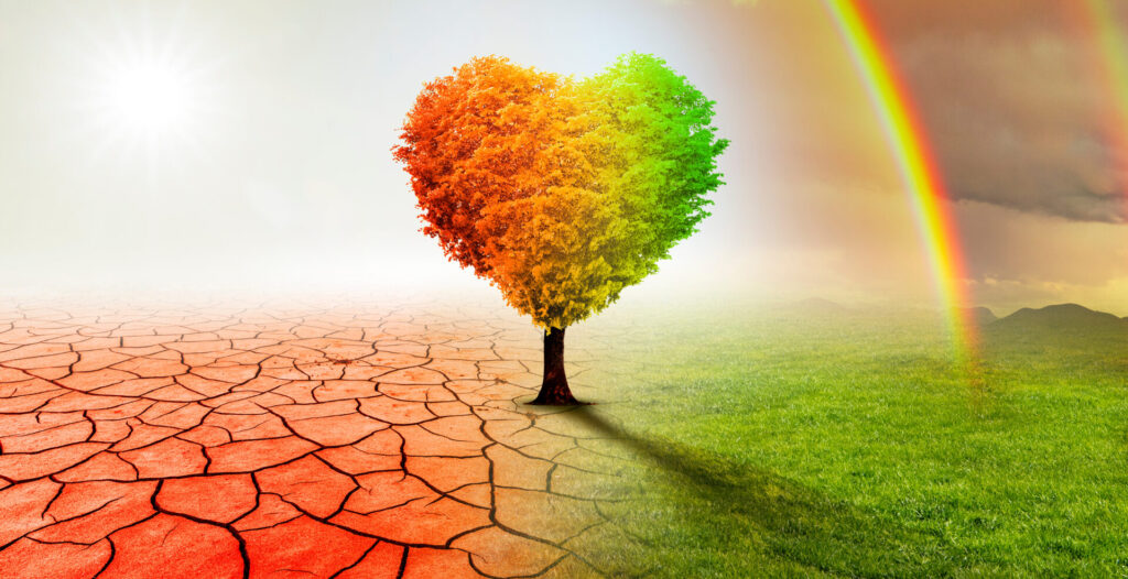 Baum in Herzform in einer surrealen Wüsten-Landschaft mit Regenbogen.
